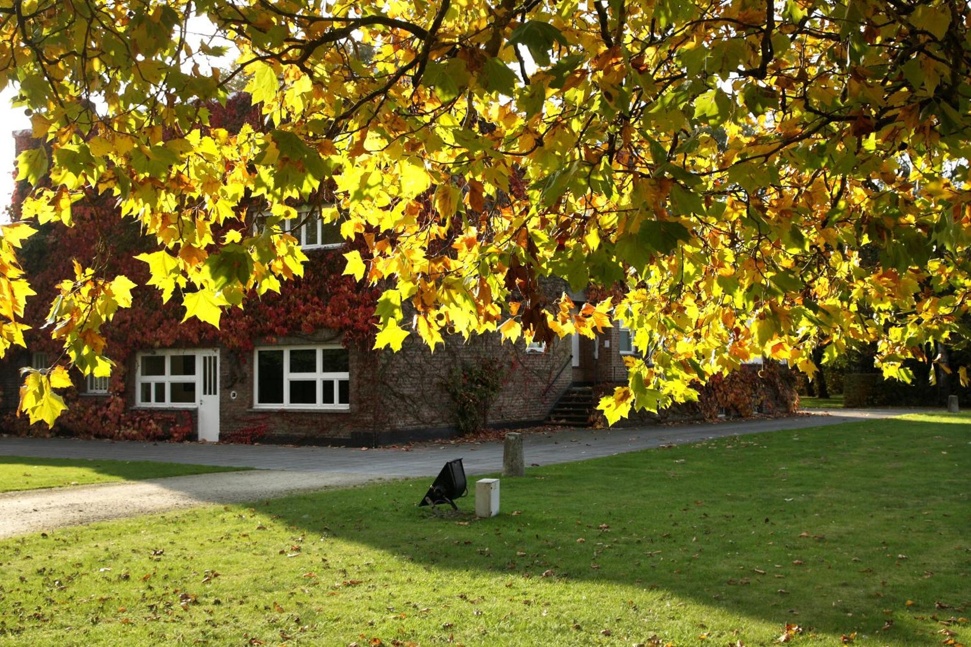 B&B Lievejan Jabbeke  Exterior photo